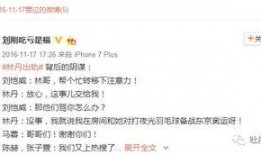 卓伟爆料明星落谷底视频,明星落谷底，揭秘娱乐圈黑暗面