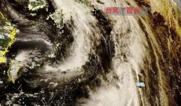 台风爆料最新情况新闻,揭秘“台风爆料”最新情况